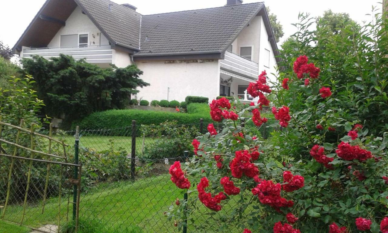Ferienwohnung Raupe Fritzlar Kültér fotó